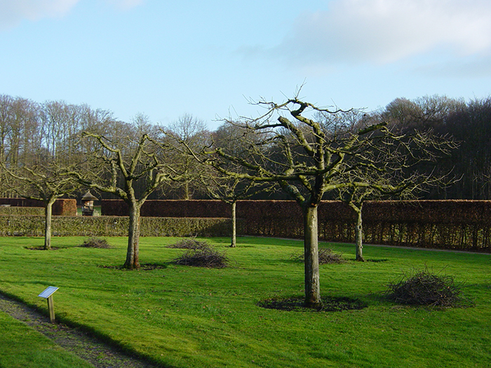 Kloostertuin